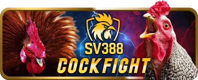 Cam kết của vnjun88 link vào về chơi có trách nhiệm